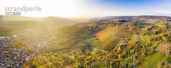Deutschland  Baden-Württemberg  Remstal  Luftaufnahme von Weinbergen vor einer Stadt auf dem Land bei Sonnenuntergang im Herbst