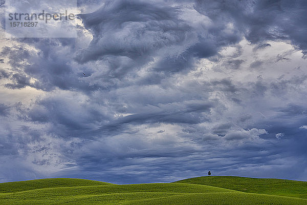 Italien  Toskana  Orcia-Tal  Sturmwolken über den Feldern im Frühling