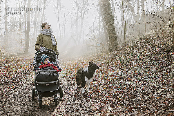 Mutter mit Kindern und Border Collie beim Waldspaziergang im Herbst