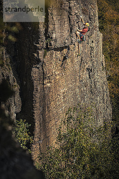 Mann klettert am Battert-Felsen  Baden-Baden  Deutschland