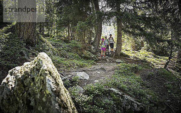 Mutter mit zwei Kindern wandert im Wald  Passeiertal  Südtirol  Italien