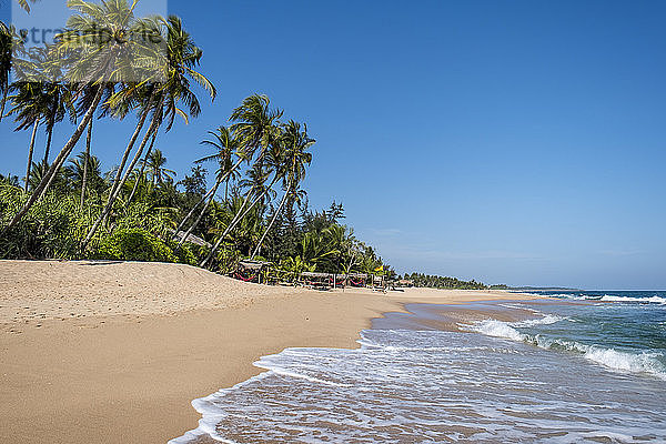 Sri Lanka  Südprovinz  Tangalle  Tropenstrand