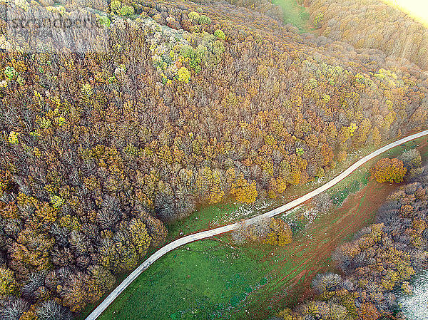 Italien  Luftaufnahme der Landstraße  die durch den Herbstwald des Monte Cucco führt