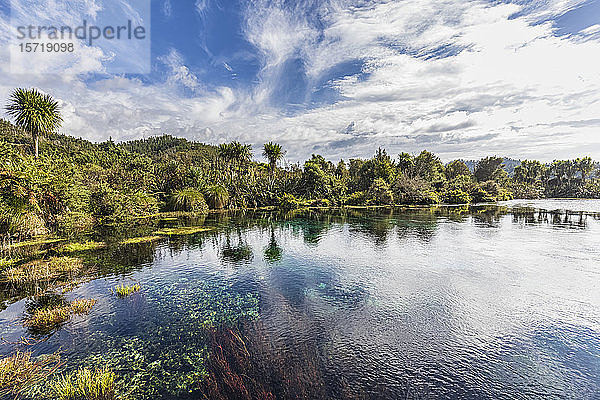 Neuseeland  Tasmanische Region  Takaka  Landschaftliche Ansicht der Quellen von Te Waikoropupu