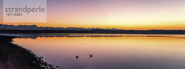 Deutschland  Bayern  Starnberger See bei Amberg bei Sonnenaufgang