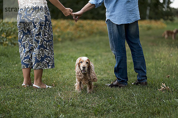 Ehepaar mit ihrem Hund  das Hand in Hand auf einer Wiese steht