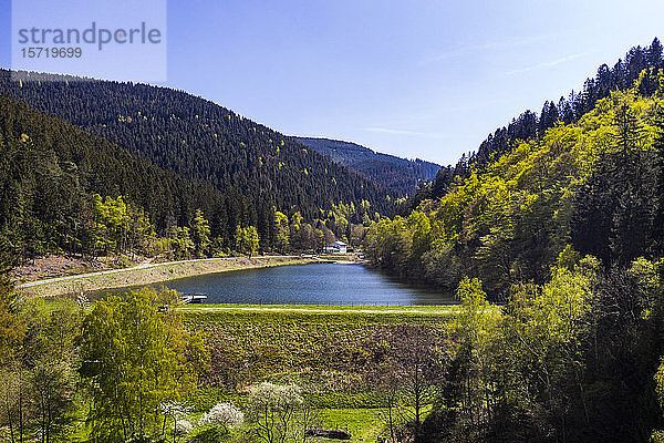 Deutschland  Niedersachsen  Goslar  Luftbild der Oberharzer Wasserregulierung im Frühjahr