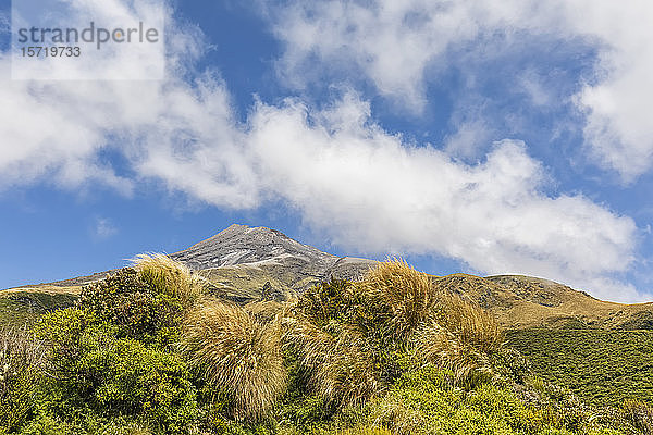 Neuseeland  Tiefblick auf den Vulkan Mount Taranaki im Frühling