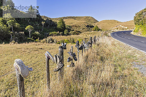 Neuseeland  Ozeanien  Nordinsel  Waitomo  Schuhe auf Holzpfählen entlang der Te Anga Road