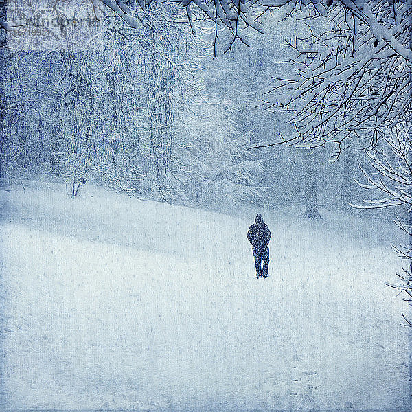 Wald im Winter bei Wuppertal  Mann bei Schneefall