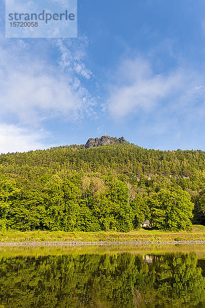 Deutschland  Sachsen  Königstein  Grün bewaldeter Lilienstein