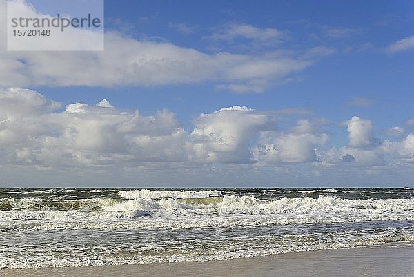 Auslaufende Wellen am Sandstrand  blauer Himmel mit tiefen Kumuluswolken (Cumulus) über der Nordsee  Sylt  Nordfriesische Insel  Nordfriesland  Schleswig-Holstein  Deutschland  Europa