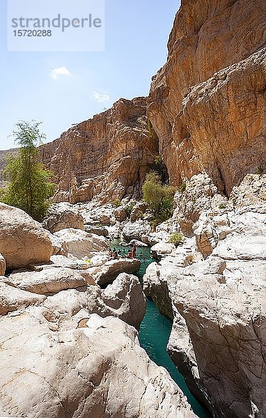 Süßwasserbecken  Wadi Bani Khalid  Shamal ash Bezirk Sharqiyya  Oman  Asien