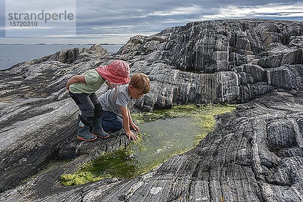 Junge und Mädchen spielen zwischen Felsen mit Algen  Straumsholmen  Atlantikstraße  Norwegen  Europa