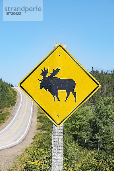 Straßenschild warnt vor kreuzenden Elchen  Cabot Trail  Cape Breton Highlands National Park  Nova Scotia  Kanada  Nordamerika