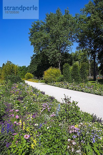 Blumenbeete am Weg  Botanikpark  Kurort  Bad Schallerbach  Hausruckviertel  Oberösterreich  Österreich  Europa