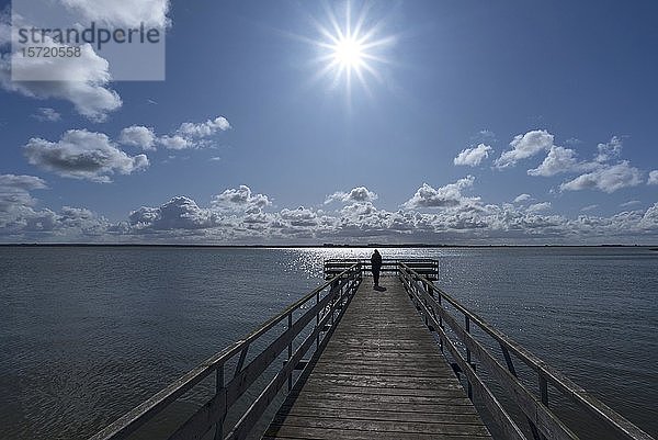 Pier am Bodden im Gegenlicht  Sonnenstern  Ahrenshoop  Darß  Mecklenburg-Vorpommern  Deutschland  Europa