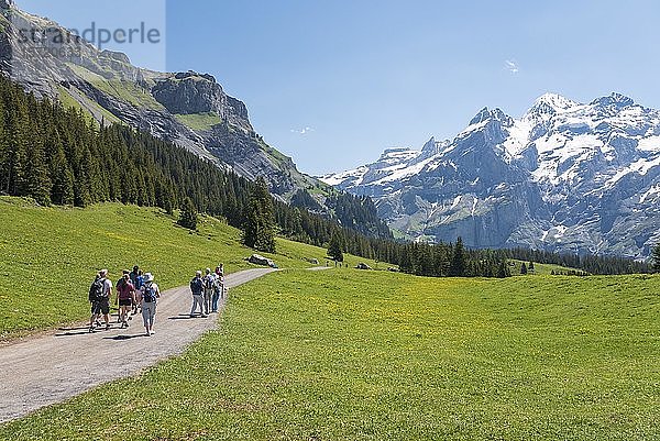 Wanderer auf dem Weg zum Oeschinensee  im hinteren Gipfelbereich von Wildi Frau und Blüemlisalp  Kandersteg  Berner Oberland  Kanton Bern  Schweiz  Europa