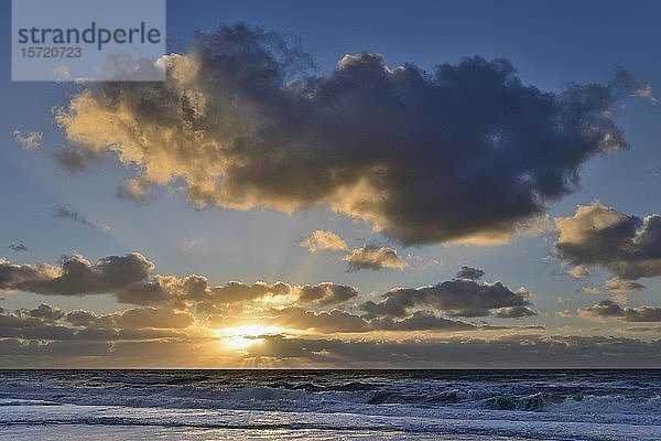 Sonnenuntergang mit blauem Himmel und Kumuluswolken (Cumulus)  Sylt  Nordfriesische Insel  Nordsee  Nordfriesland  Schleswig-Holstein  Deutschland  Europa