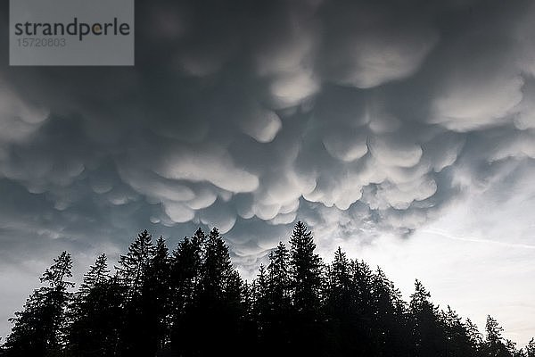 Mammutwolken  Schlechtwetter  dramatische Wolkenstimmung  Gewitterwolken  bei Grainau  Oberbayern  Bayern  Deutschland  Europa