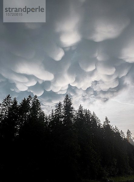 Mammutwolken  Schlechtwetter  dramatische Wolkenstimmung  Gewitterwolken  bei Grainau  Oberbayern  Bayern  Deutschland  Europa