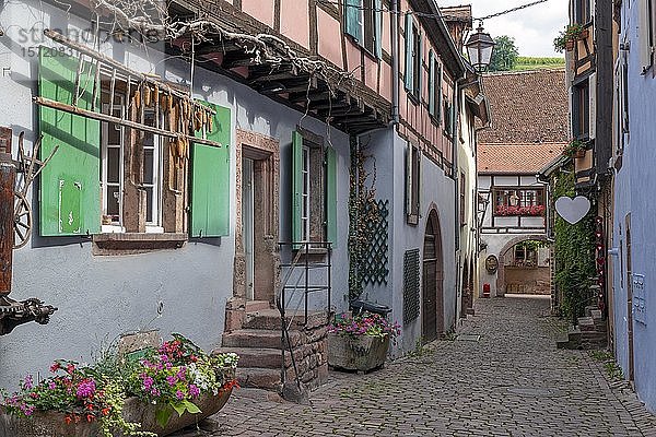 Historische Häuser in Gasse  Riquewihr  Elsass  Frankreich  Europa