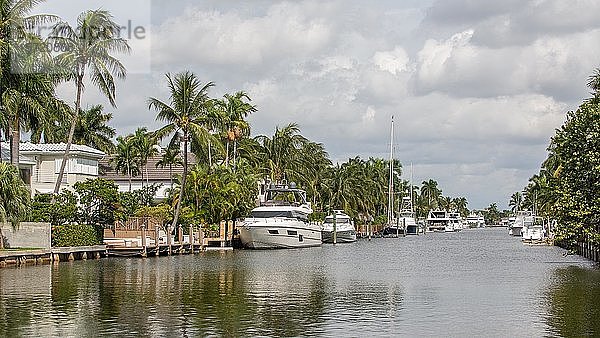 Kanal mit Luxusyachten vor Wohnhäusern  East Fort Lauderdale  Florida  USA  Nordamerika