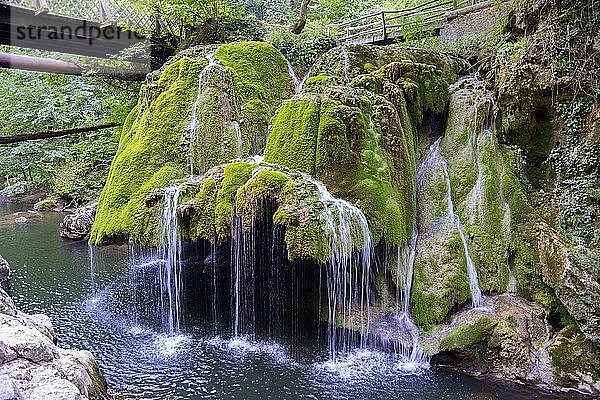 Bigar-Wasserfall im Cheile Nerei-Beusnita-Nationalpark  Banat  Rumänien  Europa