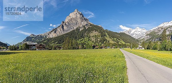Landschaft mit der Bire  dem Hausberg von Kandersteg  im Hintergrund der Blüemlisalpgletscher  Berner Oberland  Kanton Bern  Schweiz  Europa