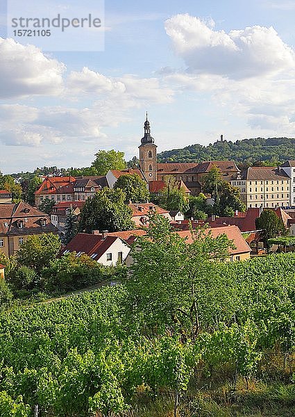 Blick vom Garten der Neuen Residenz auf Bamberg  Oberfranken  Bayern  Deutschland  Europa