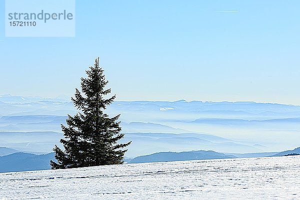 Blick vom schneebedeckten Gipfel des Belchen auf Höhenzüge und Alpenkette Schwarzwald  Baden-Württemberg  Deutschland  Europa