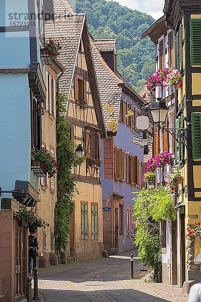 Gasse mit historischen Häusern  Ribeauville  Elsass  Frankreich  Europa