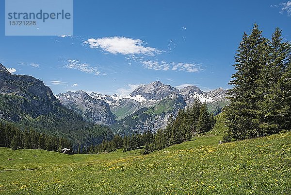 Berglandschaft mit dem Gipfel des Grossen Lohner  Kandersteg  Berner Oberland  Kanton Bern  Schweiz  Europa
