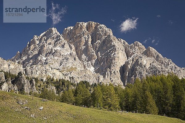 Blick auf die Cristallo-Gruppe  Dolomiten  Italien  Europa