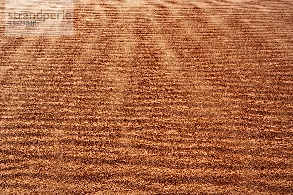 Wellenstruktur  Sanddüne  Wüste Rimal al Wahiba oder Wahiba Sands  Sultanat Oman
