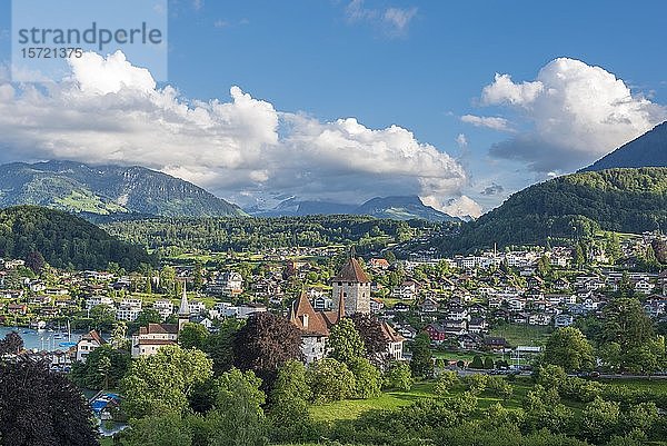 Stadtbild mit Schloss Spiez  Spiez  Berner Oberland  Schweiz  Europa