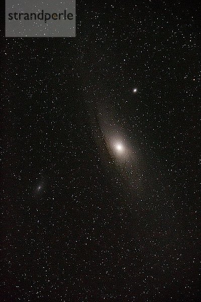 Andromeda-Galaxie  Großer Andromeda-Nebel  M31 oder NGC 224  Namibia  Afrika