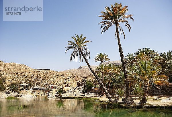 Süßwasserbecken  Wadi Bani Khalid  Shamal ash Bezirk Sharqiyya  Oman  Asien