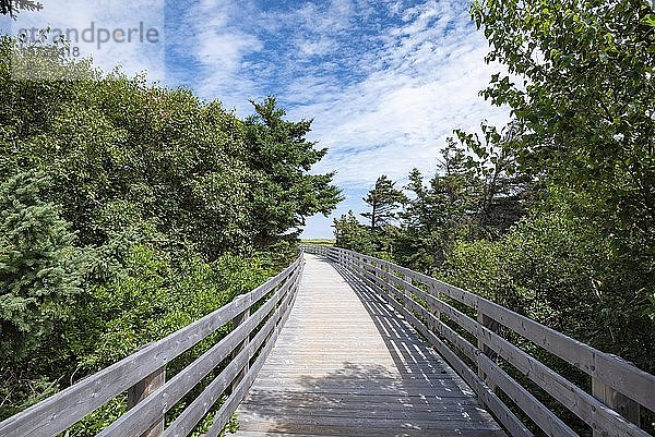 Hölzerne Fußgängerbrücke auf dem Dünenpfad  Greenwich Dunes Trail  Prince Edward Island  Kanada  Nordamerika