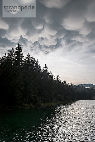 Gewitterwolken über dem Eibsee  Mammutwolken  schlechtes Wetter  dramatische Wolkenstimmung  bei Grainau  Oberbayern  Bayern  Deutschland  Europa
