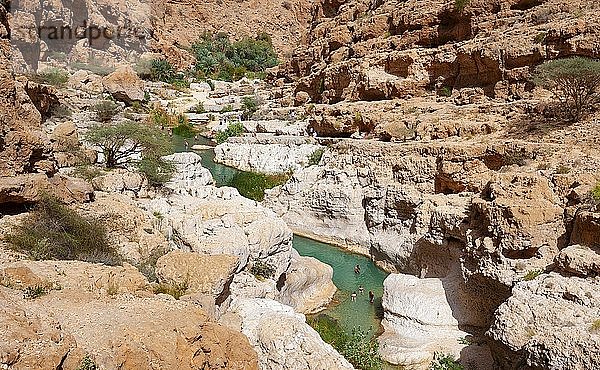 Süßwassertümpel zwischen zerklüfteten Felsen  Wadi Shab  Shamal ash district Sharqiyya  Sultanat Oman