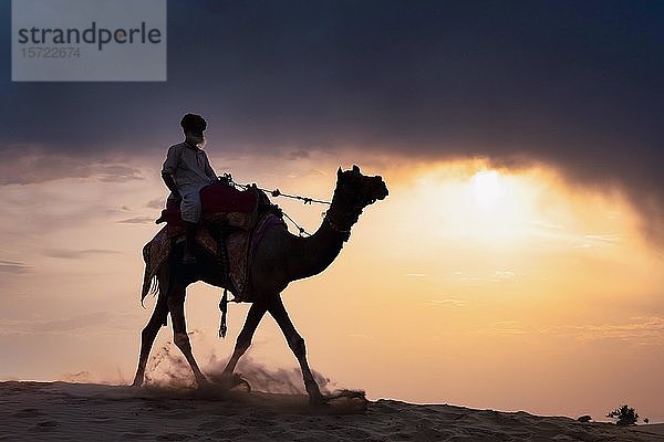 Älterer Mann reitet auf einem Kamel in der Wüste Thar bei Sonnenuntergang  Rajasthan  Indien  Asien