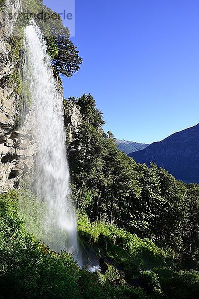 Wasserfall El Saltillo  Nationalpark Lanín  Provinz Neuquén  Argentinien  Südamerika