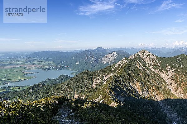 Blick auf Kochelsee und Herzogstand  Alpen  Oberbayern  Bayern  Deutschland  Europa