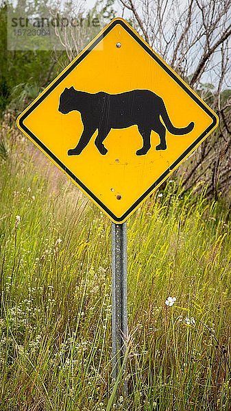 Straßenschild  Warnschild für Pumas  Everglades National Park  Florida  USA  Nordamerika