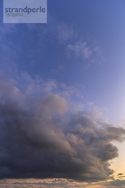 Regenwolke (Nimbostratus) am Abendhimmel  Bayern  Deutschland  Europa