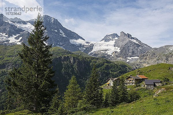 Berggasthof Obersteinberg  Berggasthaus  Tschingelhorn hinten mit Schnee  hinteres Lauterbrunnental  Schweizer Alpen Jungfrau-Aletsch  Berner Oberland  Schweiz  Europa