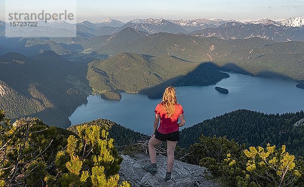 Junge Frau auf dem Gipfel stehend  Blick vom Herzogstand auf Walchensee und Alpen  Oberbayern  Bayern  Deutschland  Europa