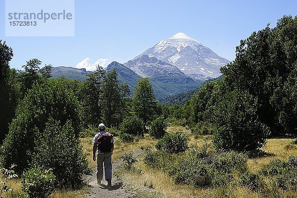 Touristen wandern vor dem Vulkan Lanín  Nationalpark Lanín  Provinz Neuquén  Argentinien  Südamerika