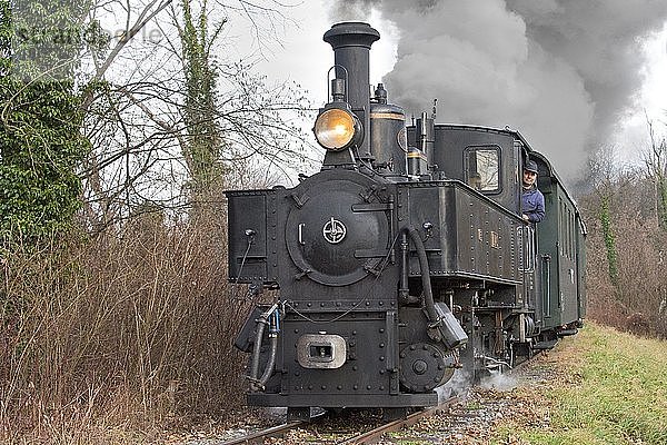 Schmalspurbahn  dampfende Museumsbahn Steyrtalbahn mit Dampflokomotive  Steyr  Oberösterreich  Österreich  Europa